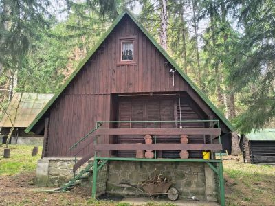 Chata v lese a v dosahu MHD, Bystrička