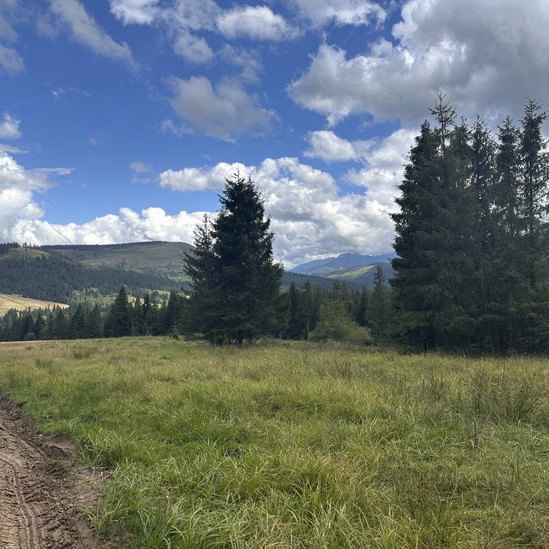 Stavebný pozemok v obci Oravice - 1