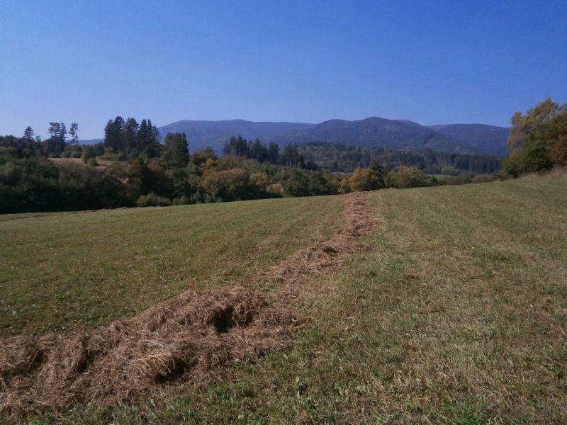 Investičný pozemok, Martin - Záturčie. - 2