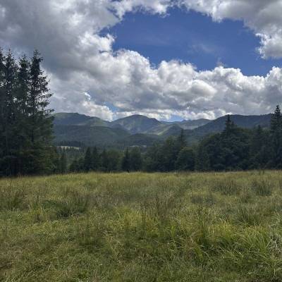 Stavebný pozemok v obci Oravice - 2