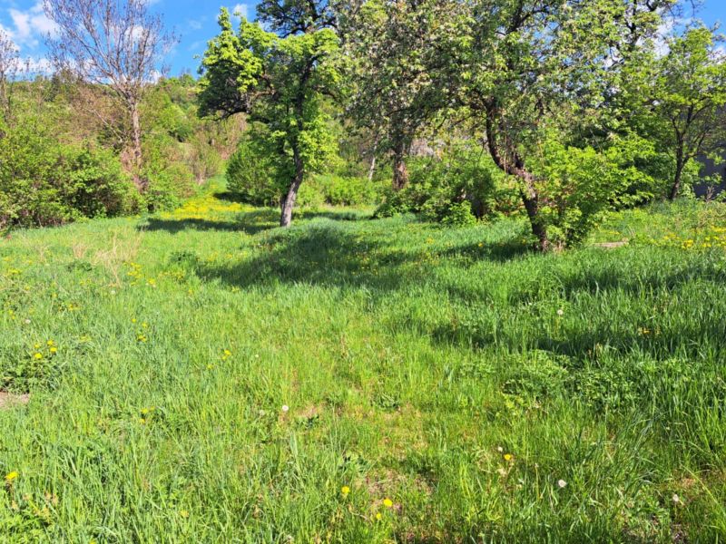 Stavebný pozemok, výmera 1.134 m2, Sklabiňa - 3