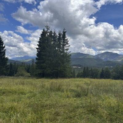 Stavebný pozemok v obci Oravice - 3